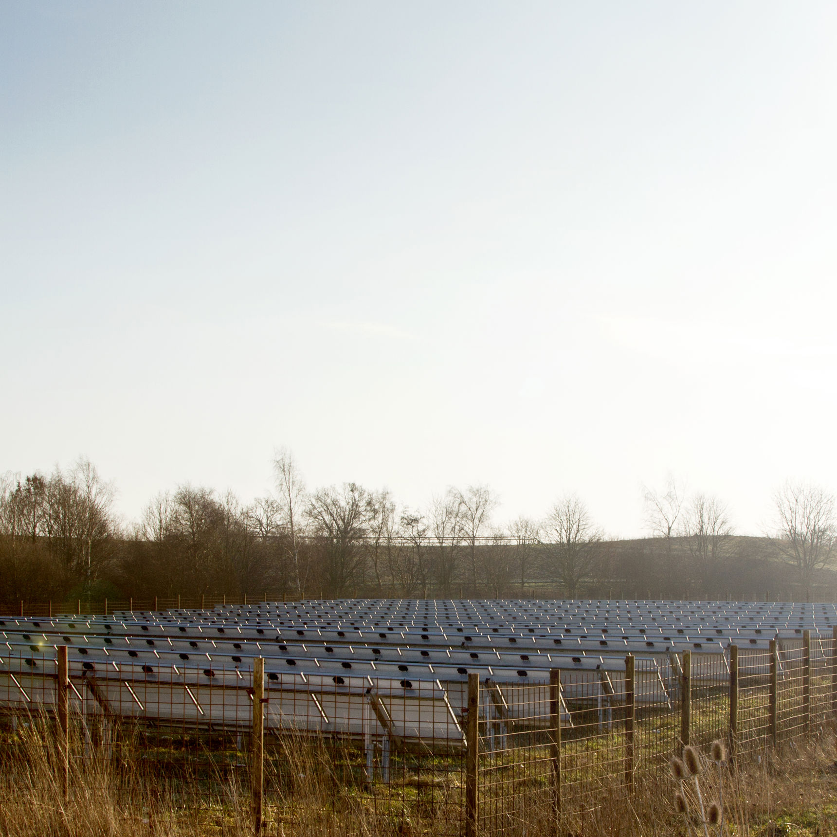 Solceller i landskab