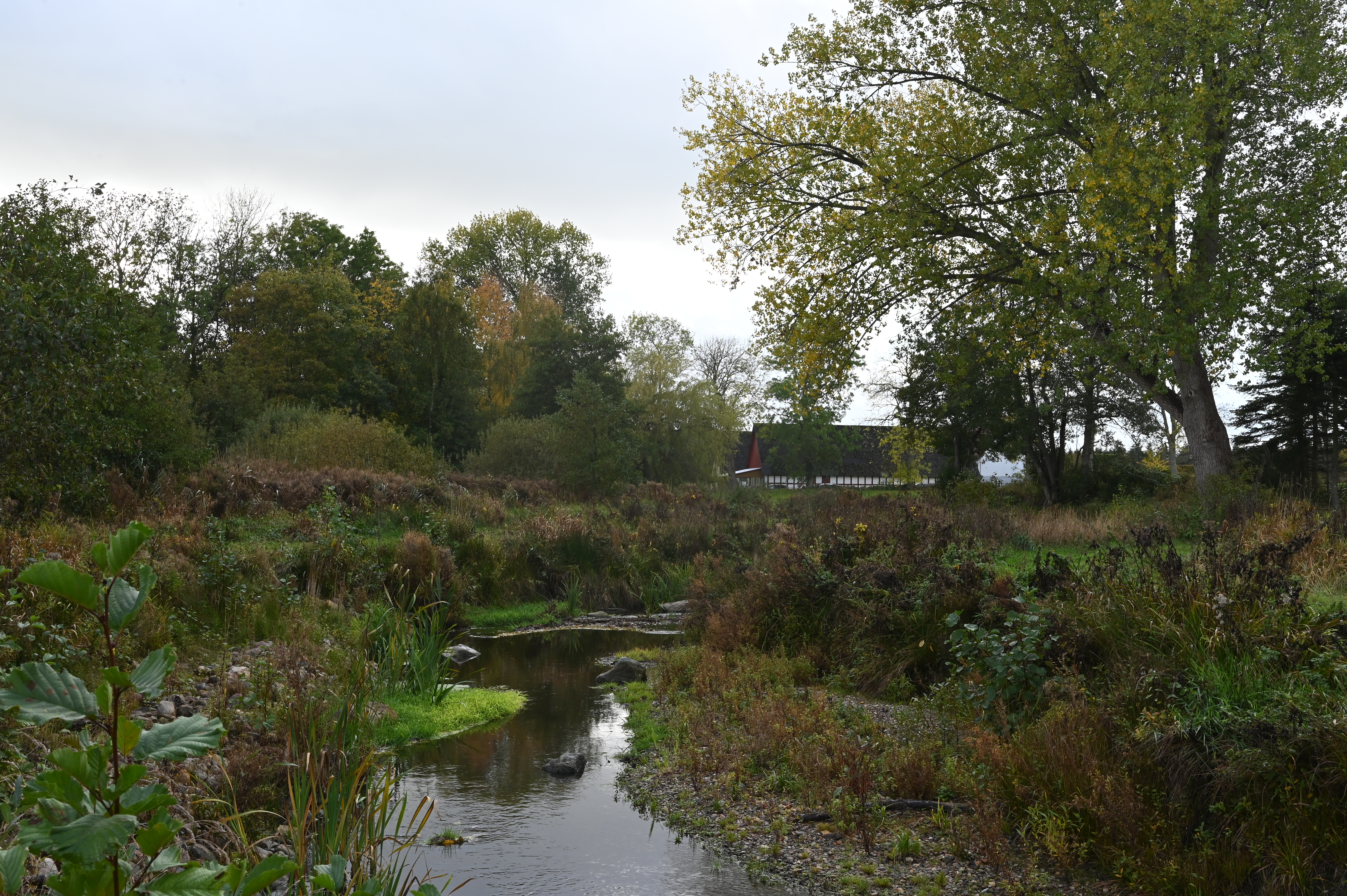 I forgrunden et lavvandet vandløb og i baggrunden en rød/hvid bindingsgsværksgård. Mange træer i kanterne
