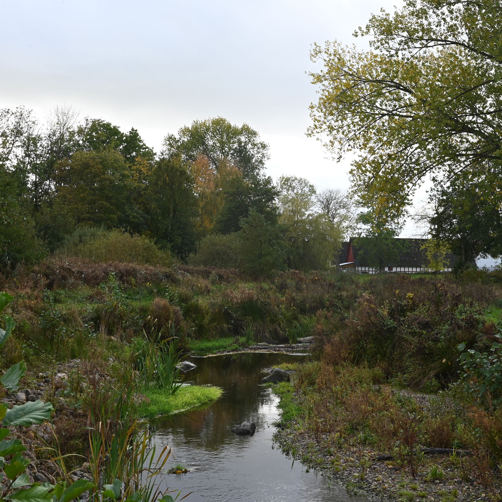 I forgrunden et lavvandet vandløb og i baggrunden en rød/hvid bindingsgsværksgård. Mange træer i kanterne