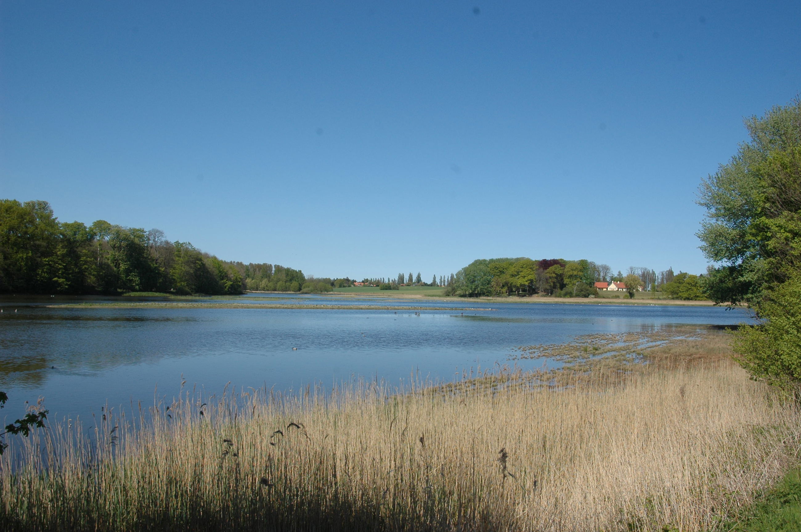 Vådområde ved Valdemars Slot