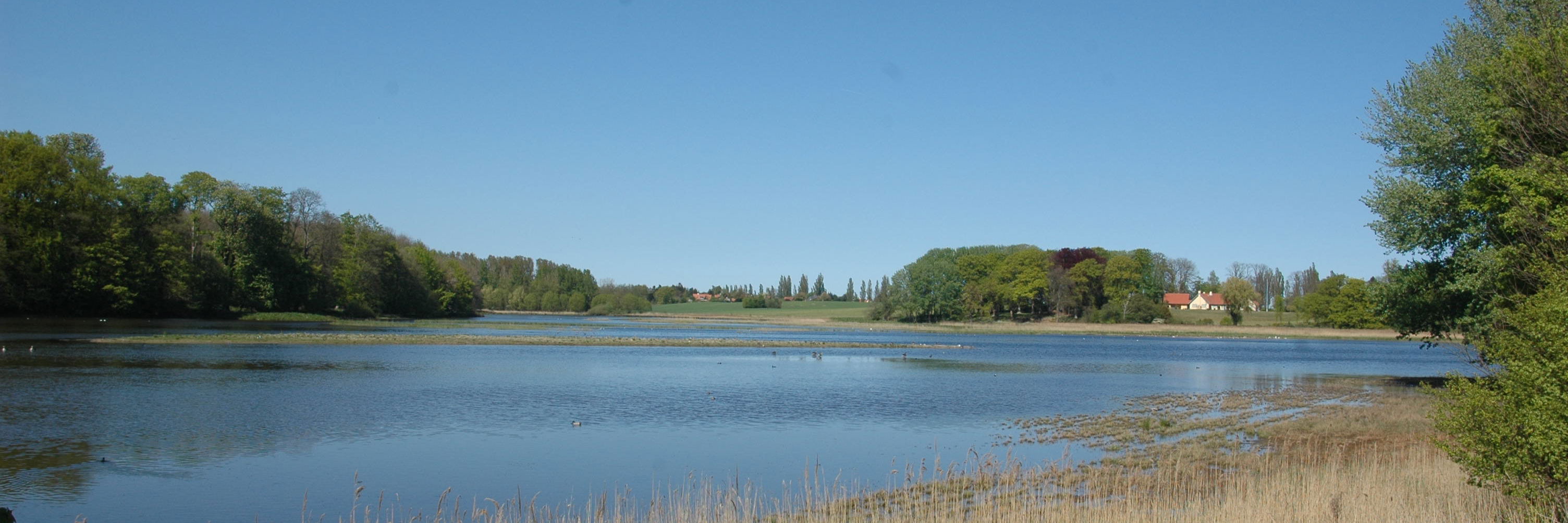 Vådområde ved Valdemars Slot