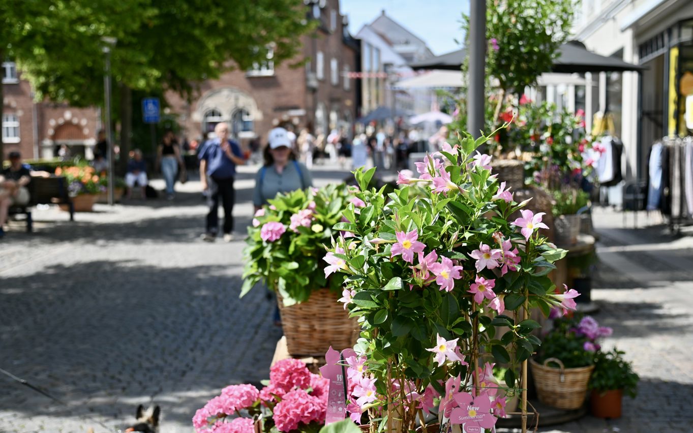 Sommerblomster på gågaden i Svendborg