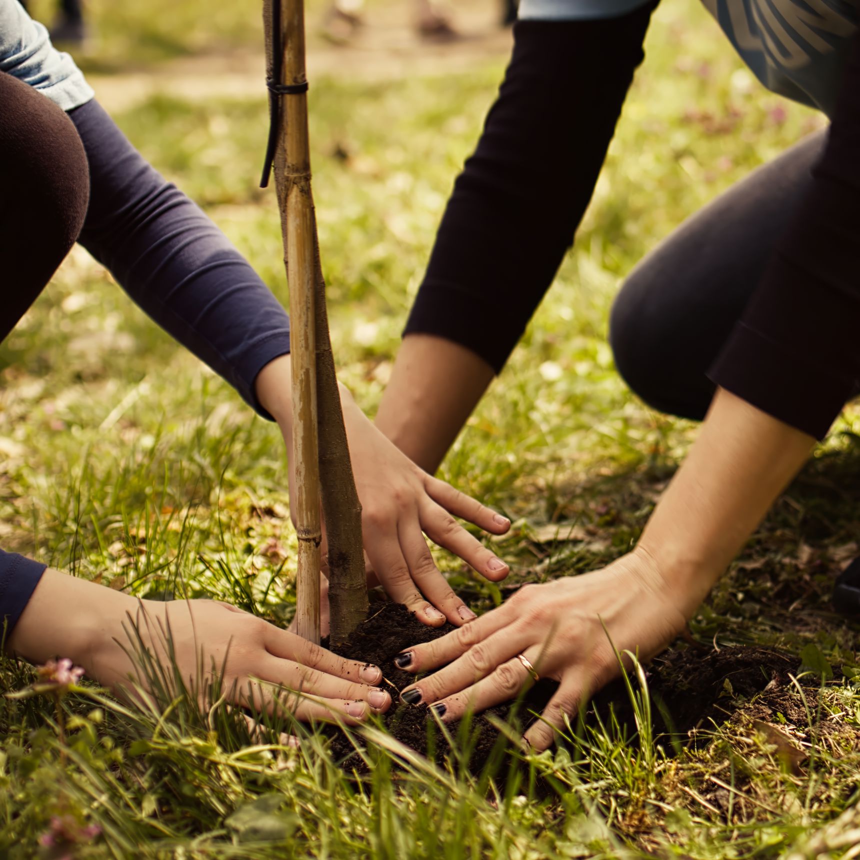 Kvinder træner i naturen