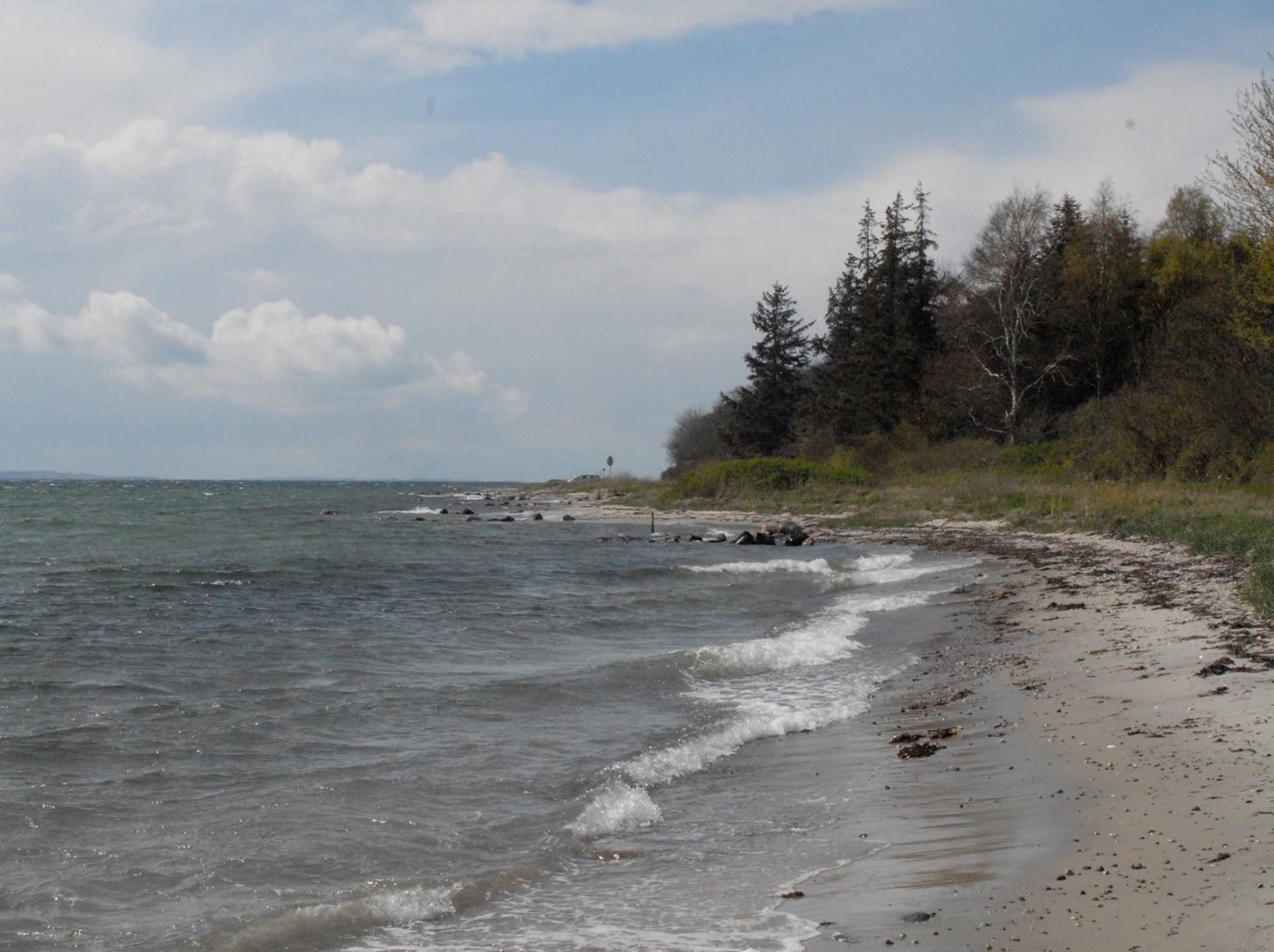 Lehnskov Strand ligger neden for Lehnskov Huse og Fredskov ud til mundingen af Svendborg Sund.