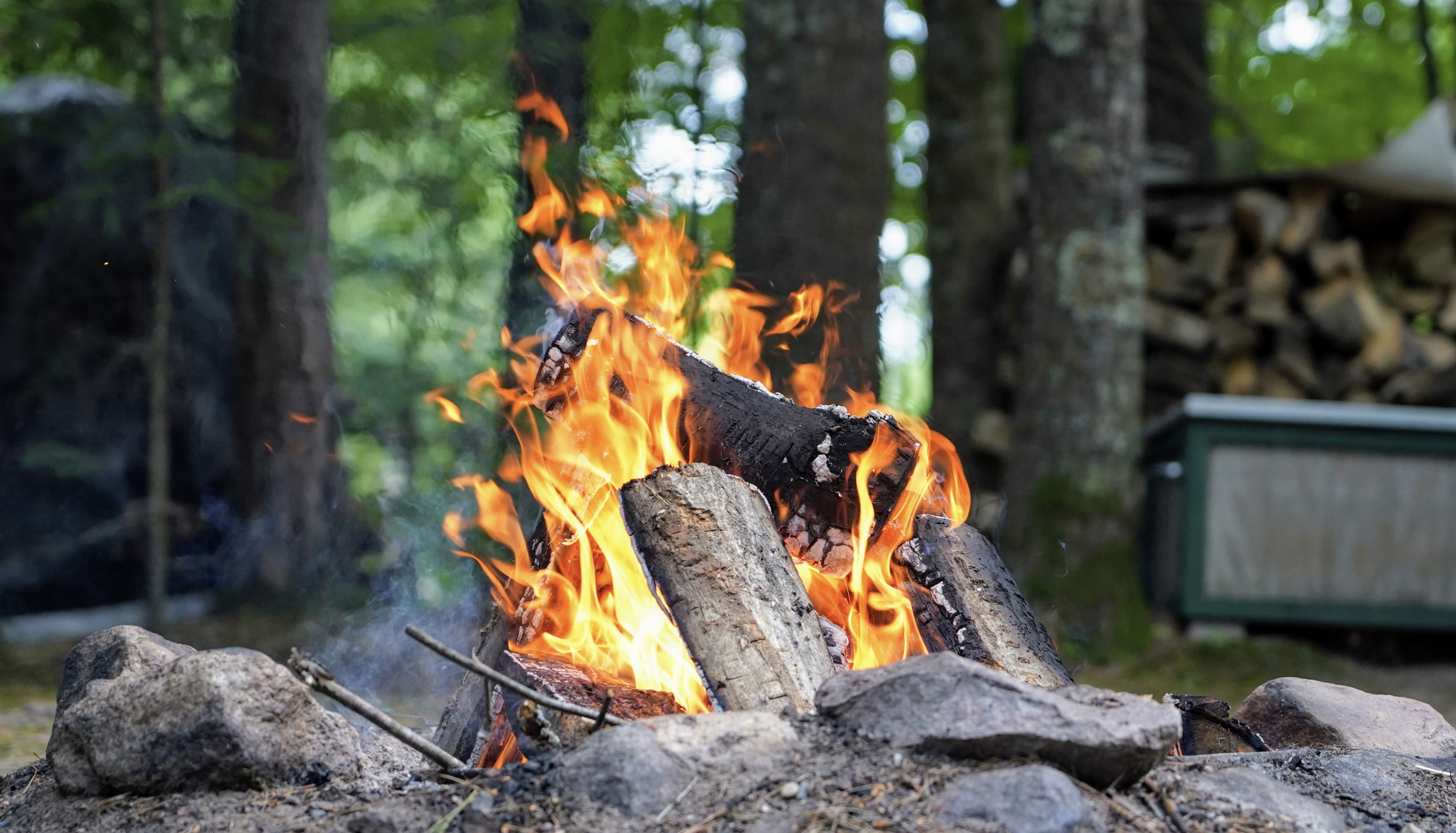 Bål med ild i skoven