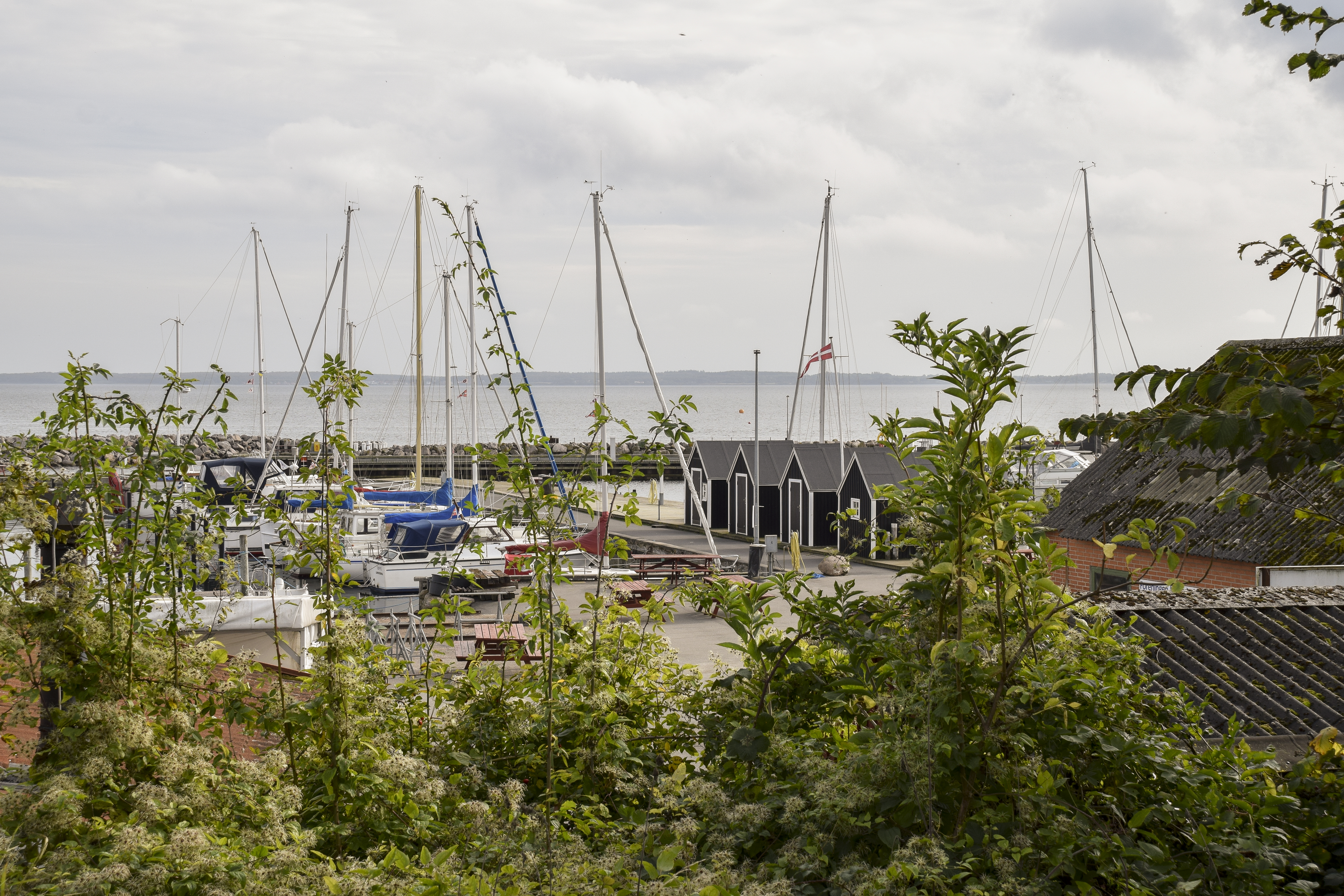 Kig gennem grønne buske ned til en lystbådhavn med både og små fiskerhuse