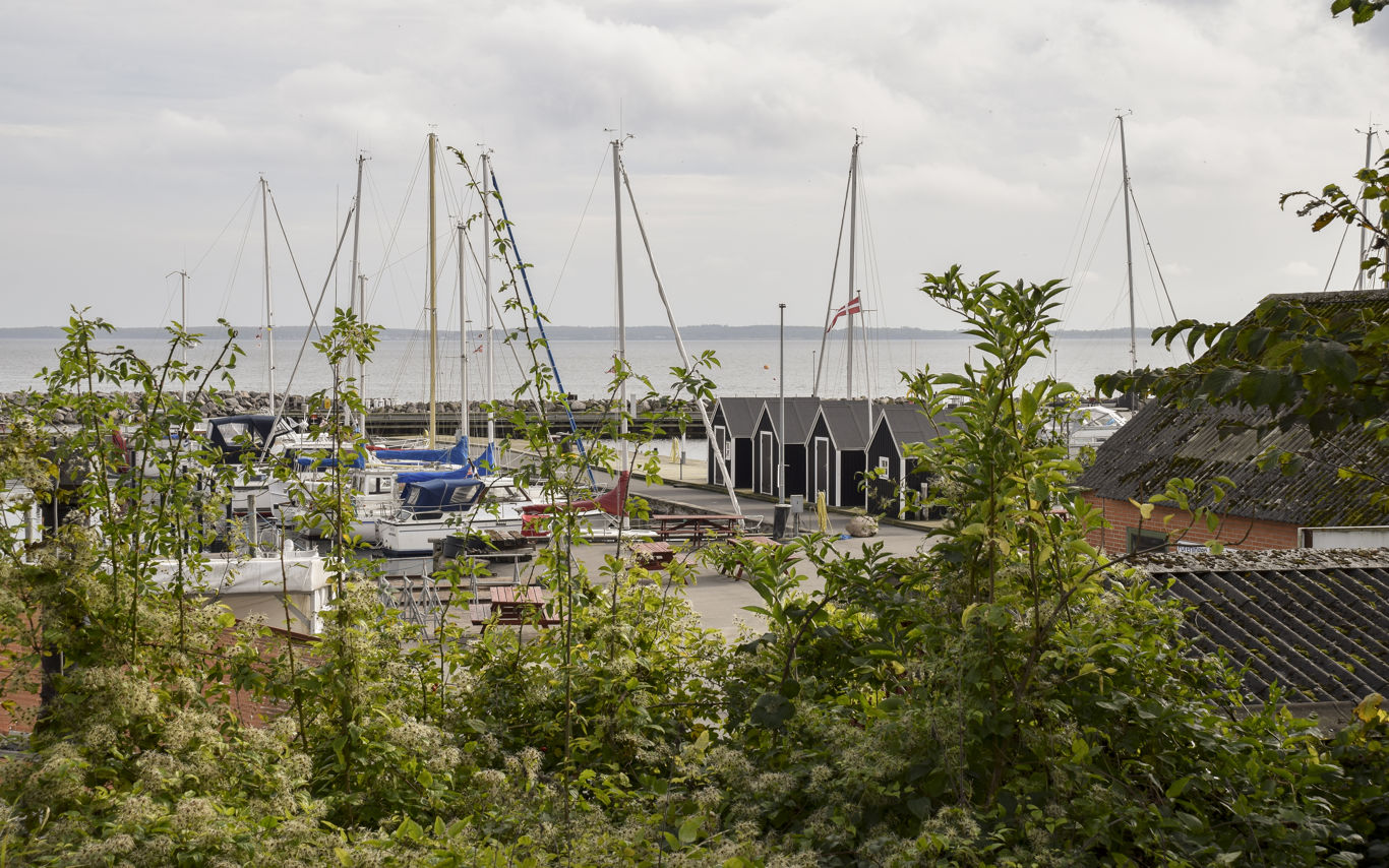Kig gennem grønne buske ned til en lystbådhavn med både og små fiskerhuse