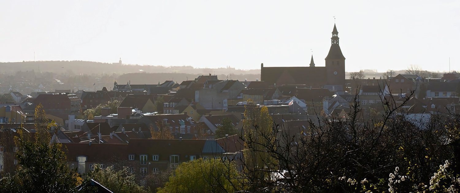 Billede, hvor man ser ud over Svendborg by
