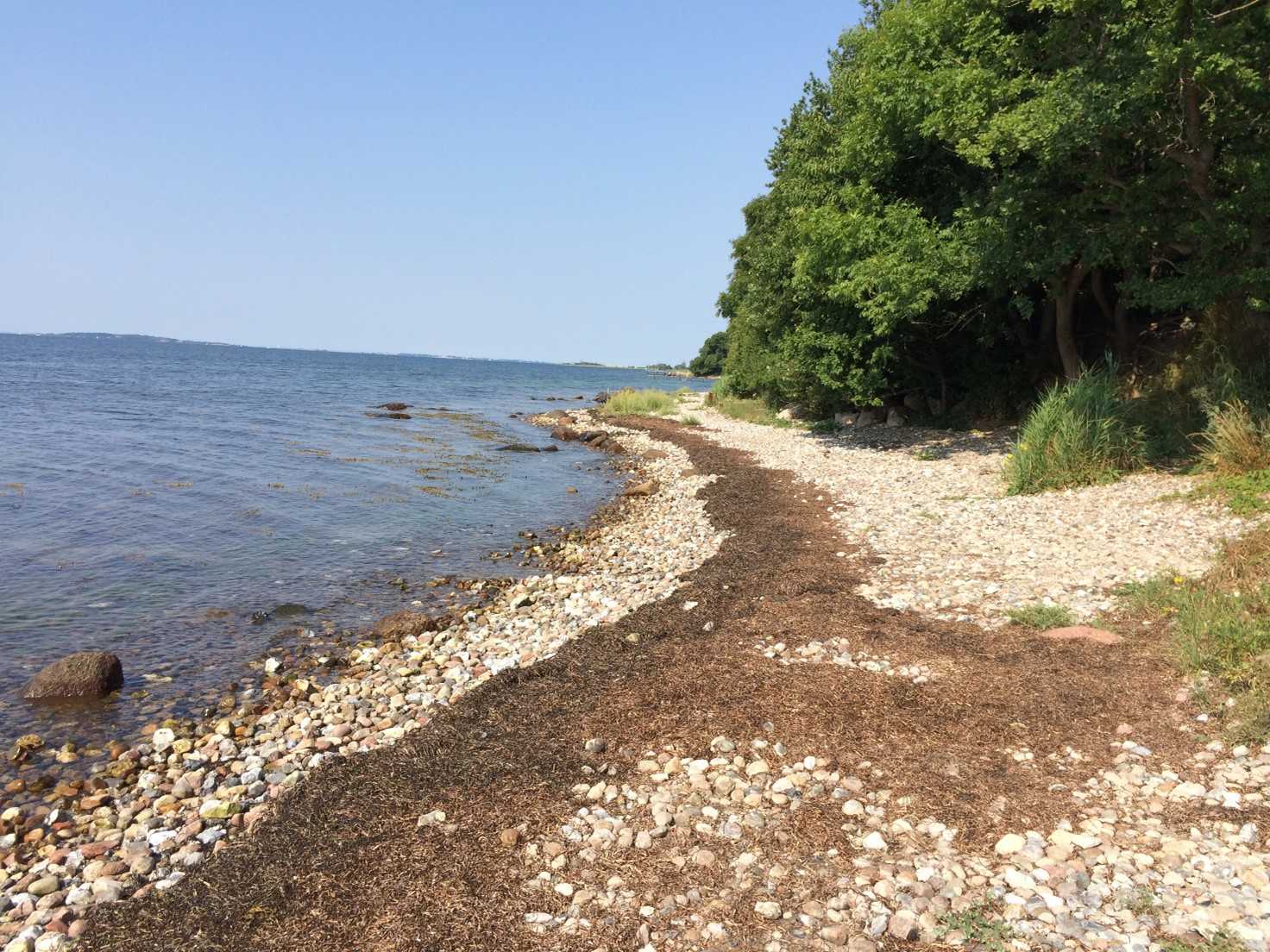 Stranden ved Præstens Skov er en ca. 700 m lang strand med små og større sten.