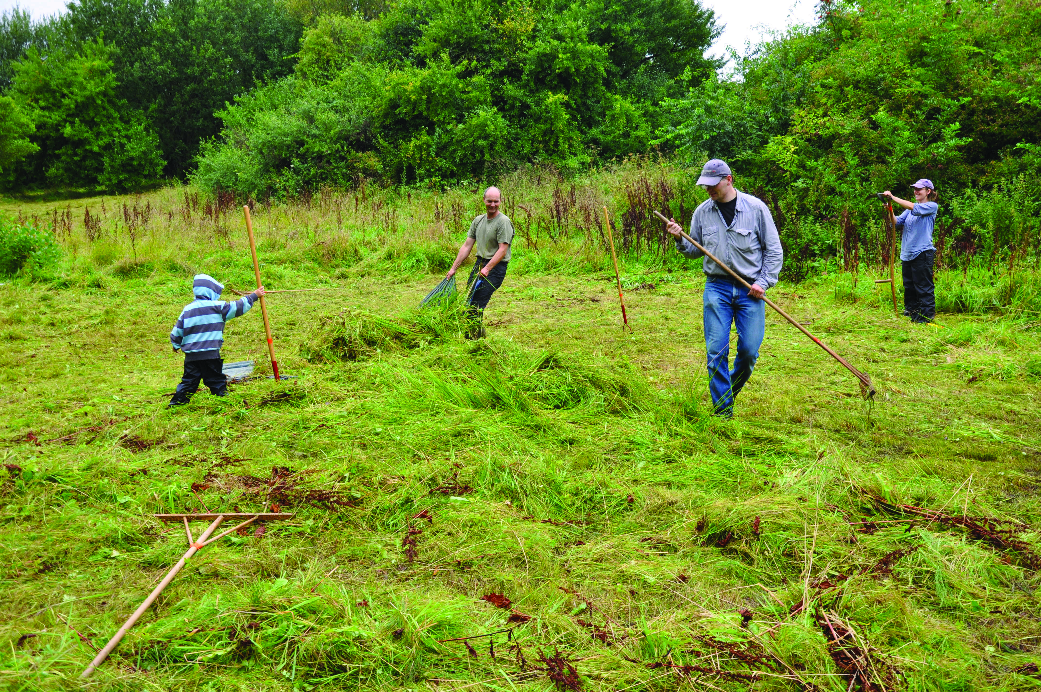 Høslet på Trappebæksengen