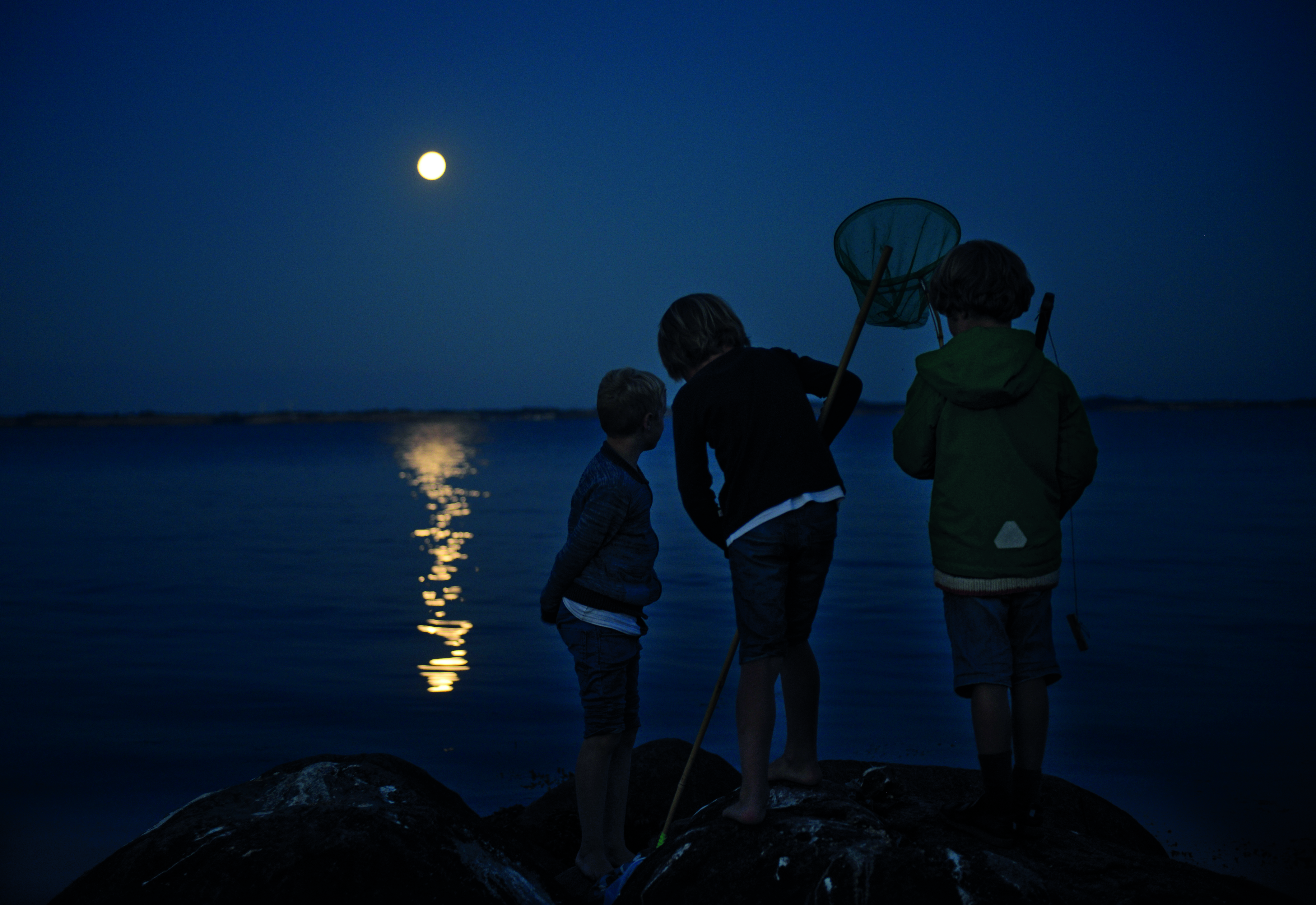 En sommernat i måneskin ved Elsehoved.