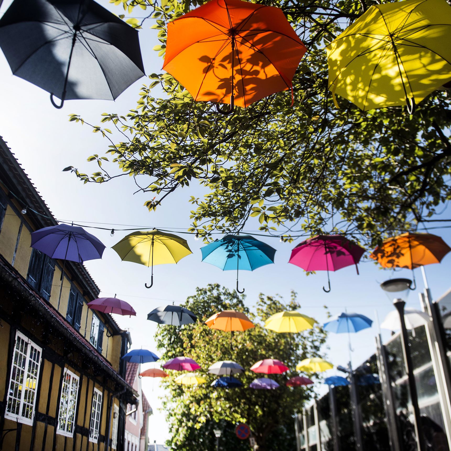 Paraplyer, der hænger i gågade