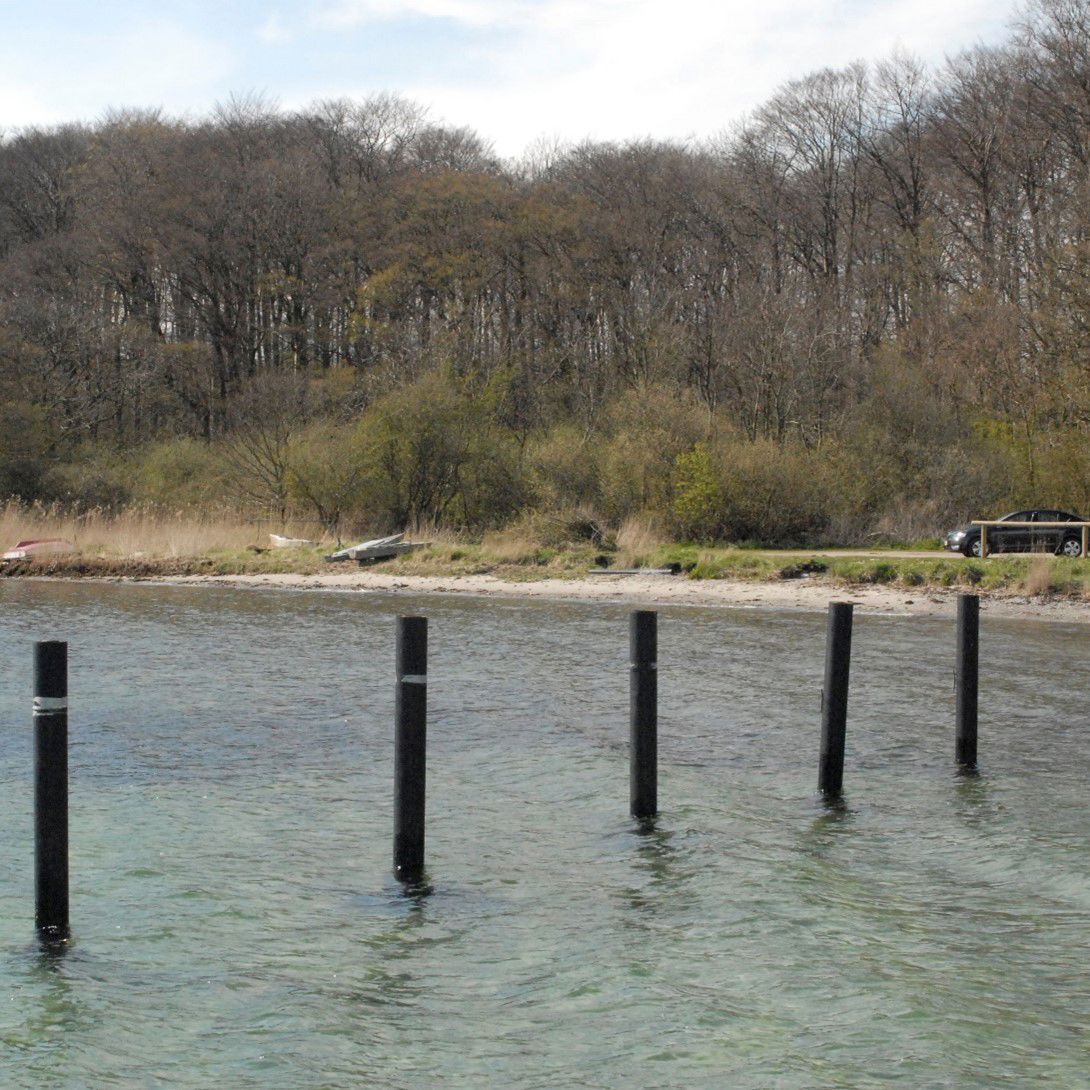 Stranden neden for skoven Tankefuld er meget smal med små sten og nogle stede tagrør og græs helt ned til vandet.