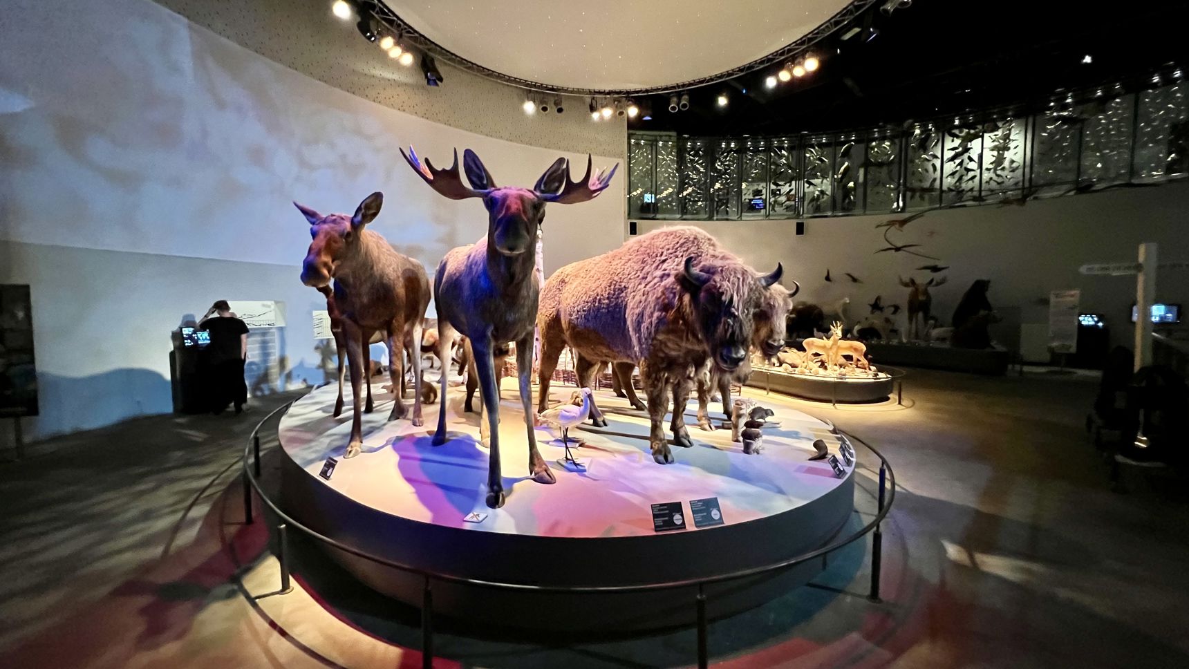 Naturama4 (1)