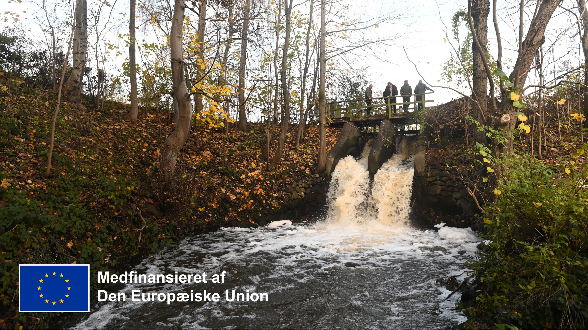Medfinansieret af EU-logo på billede af vandløb.